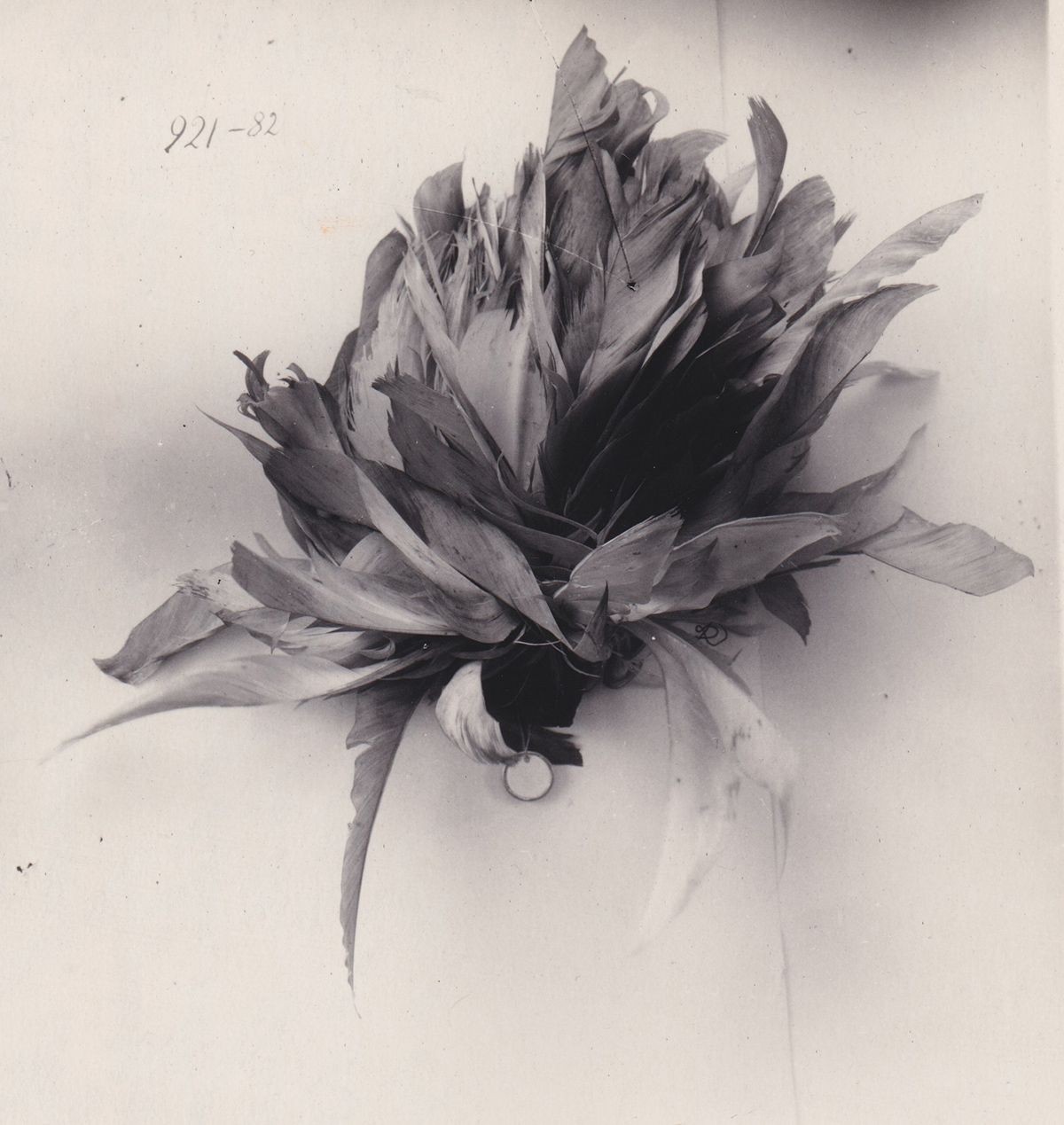 Head ornament made of cocatoo feathers