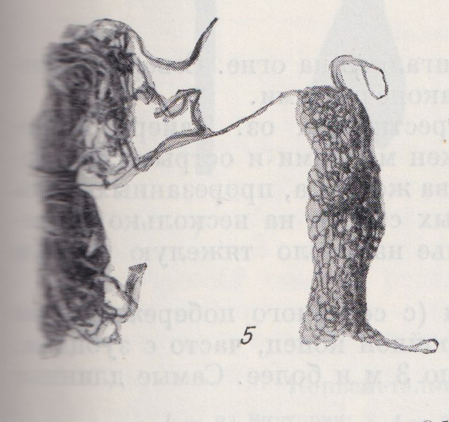 Bag, woven, unfinished, with skein of thread