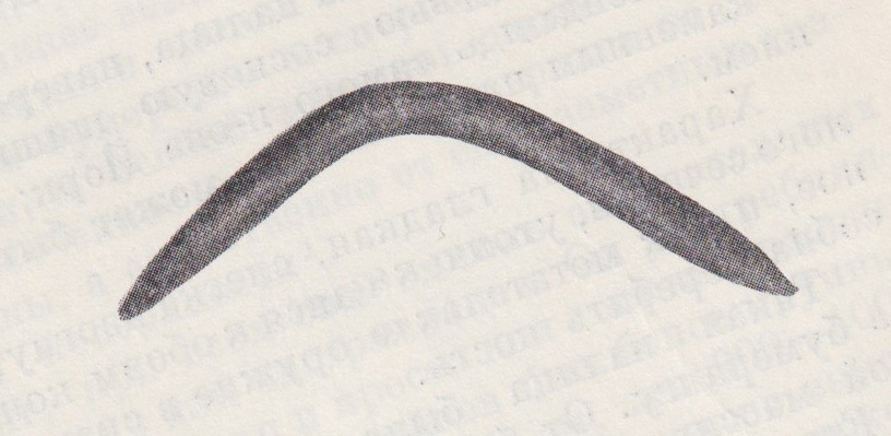 Boomerang