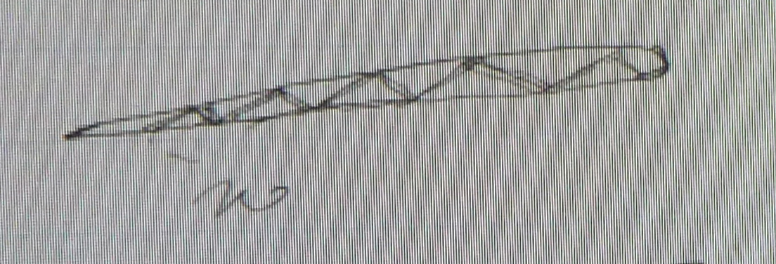 Spear-thrower "Throwing stick"