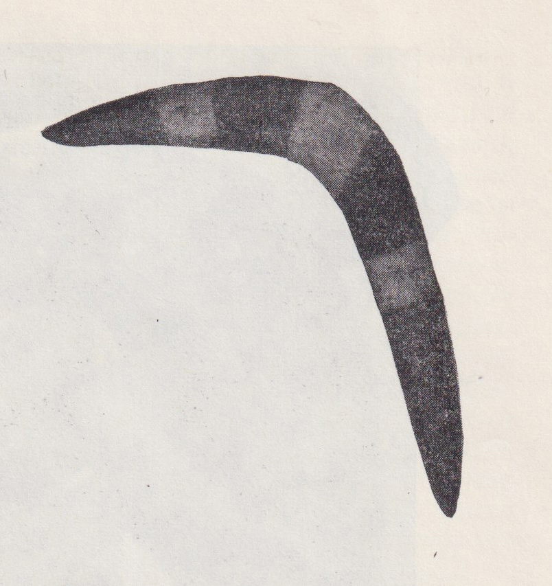Boomerang