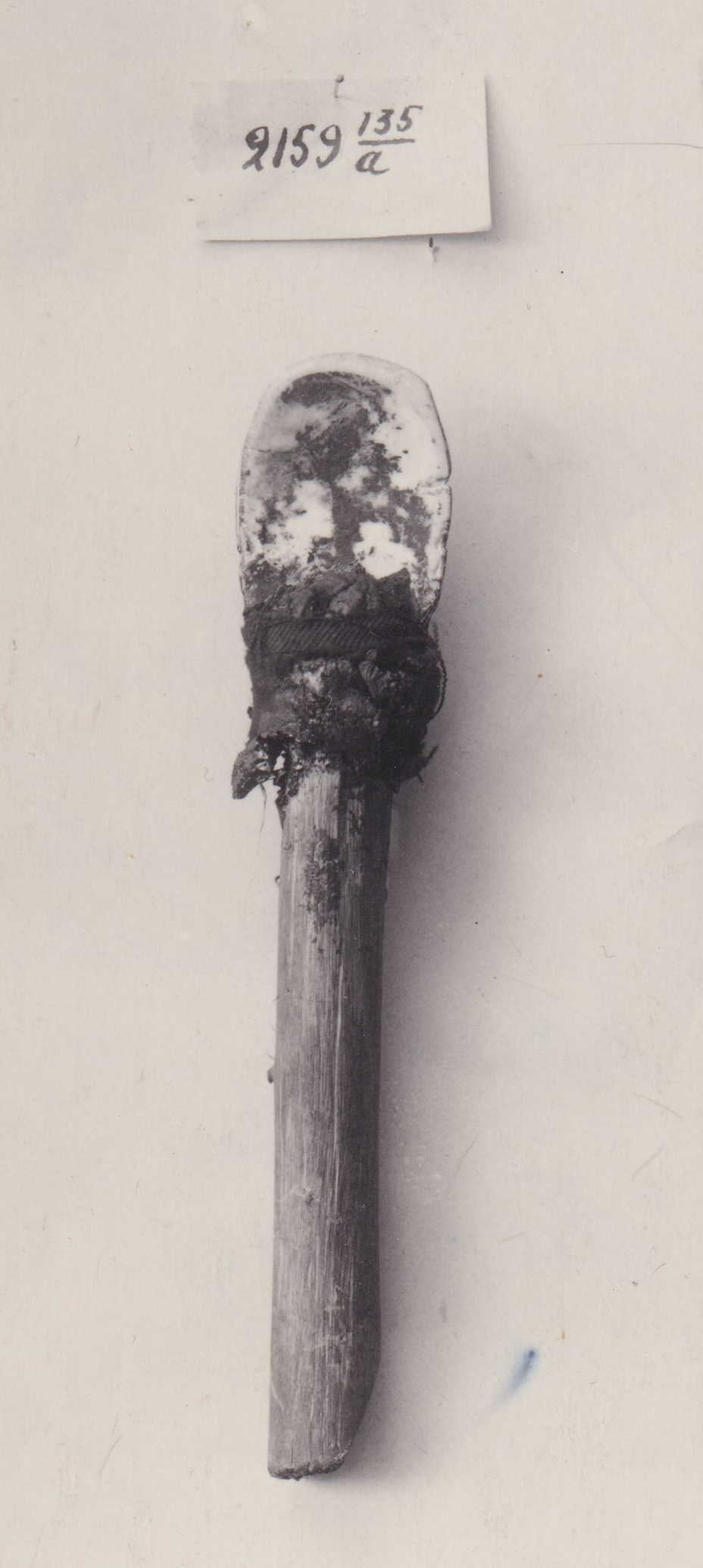 Pearlshell scraper on handle