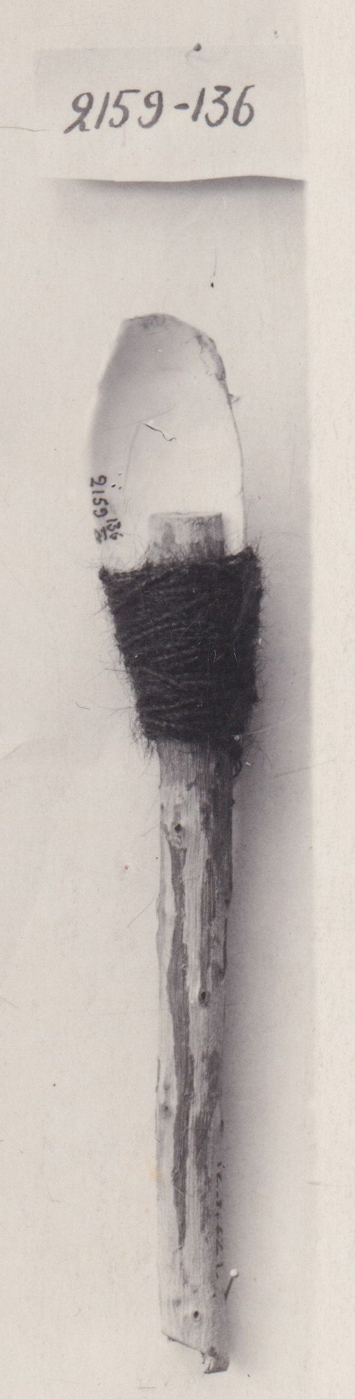 Pearlshell scraper on handle